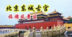 萍偷看邻家老公打少妇大屁股中国北京-东城古宫旅游风景区
